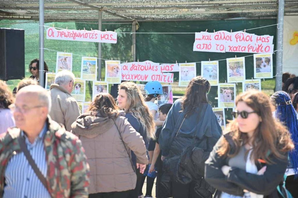 Πλήθος κόσμου στην εκδήλωση στην πλαζ της Πάτρας για τα αδέσποτα (ΦΩΤΟ)