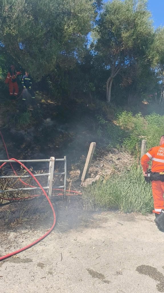Πάτρα: Φωτιά στην Οβρυά - Η άμεση παρέμβαση της πυροσβεστικής απέτρεψε την επέκταση - ΦΩΤΟ από το σημείο