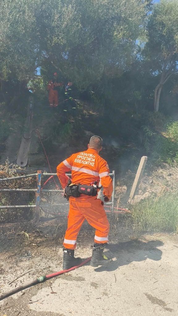 Πάτρα: Φωτιά στην Οβρυά - Η άμεση παρέμβαση της πυροσβεστικής απέτρεψε την επέκταση - ΦΩΤΟ από το σημείο
