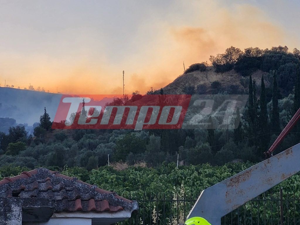Φωτιά στην Αιγιάλεια: Ανεξέλεγκτο το μέτωπο, ενισχύονται οι δυνάμεις - Τσέχοι πυροσβέστες στη μάχη με τις φλόγες (ΦΩΤΟ & ΒΙΝΤΕΟ)