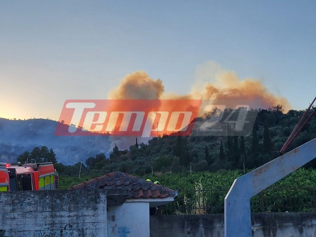 Φωτιά στην Αιγιάλεια: Ανεξέλεγκτο το μέτωπο, ενισχύονται οι δυνάμεις - Τσέχοι πυροσβέστες στη μάχη με τις φλόγες (ΦΩΤΟ & ΒΙΝΤΕΟ)